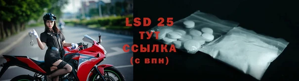 дживик Вязьма