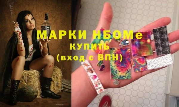 дживик Вязьма