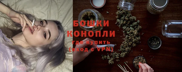 дживик Вязьма