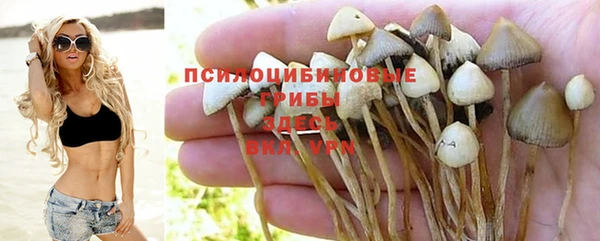 дживик Вязьма