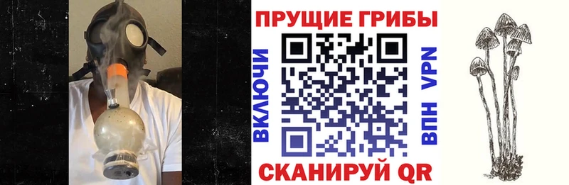 Купить  Талдом  Галлюциногенные грибы прущие грибы 